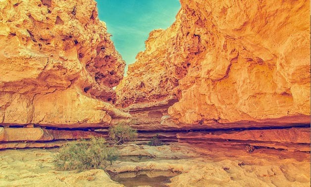 Wadi Degla