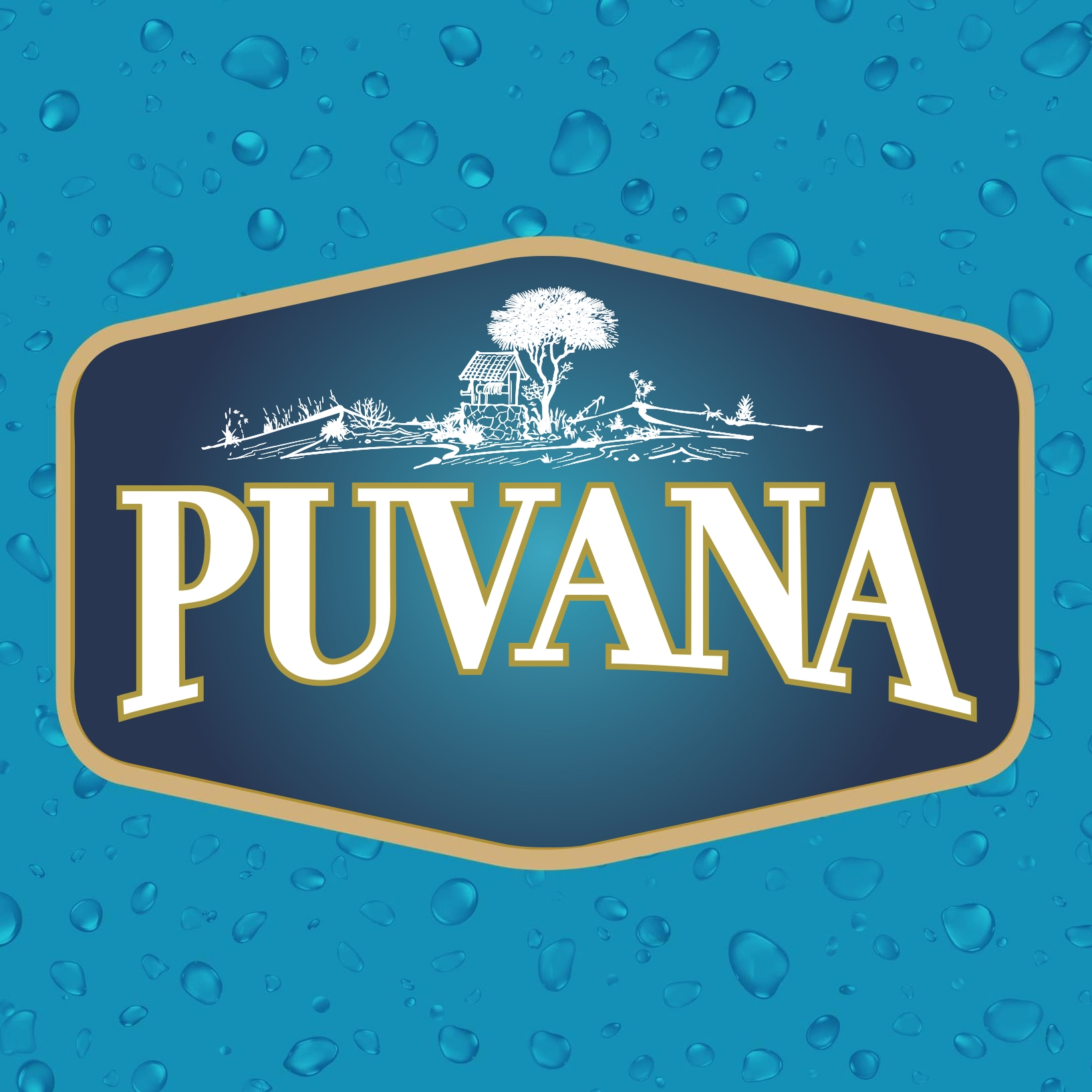 Puvana