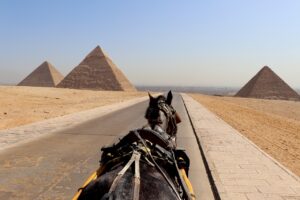cairo, pyramid, horse