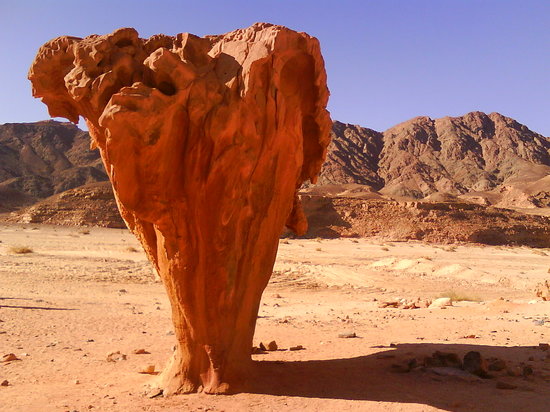 Mushroom Rock
