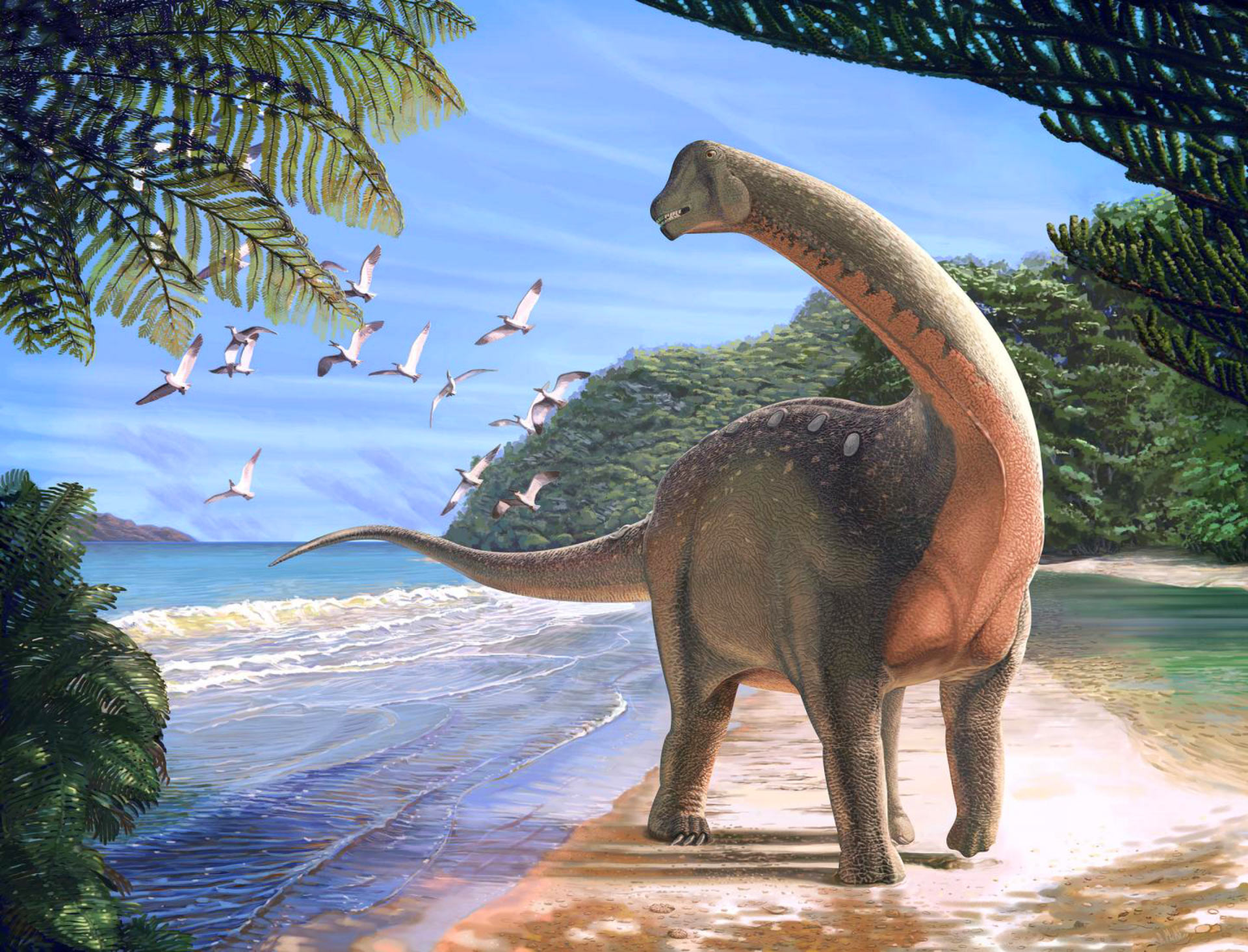 Mansourasaurus: Egypt's Prehistoric Titan