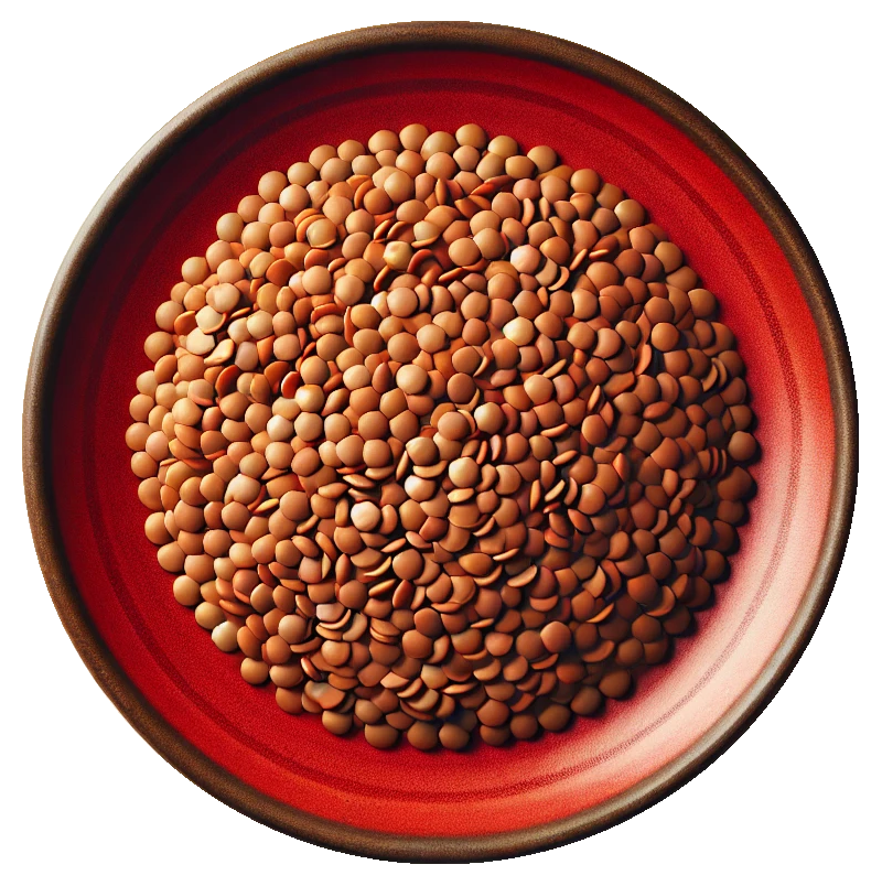Brown Lentils